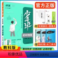 物理教科版 九年级下 [正版]2024春少年班九年级下册物理教科版JK 初三九下物理9年级下册同步练习册初中必刷题初一初