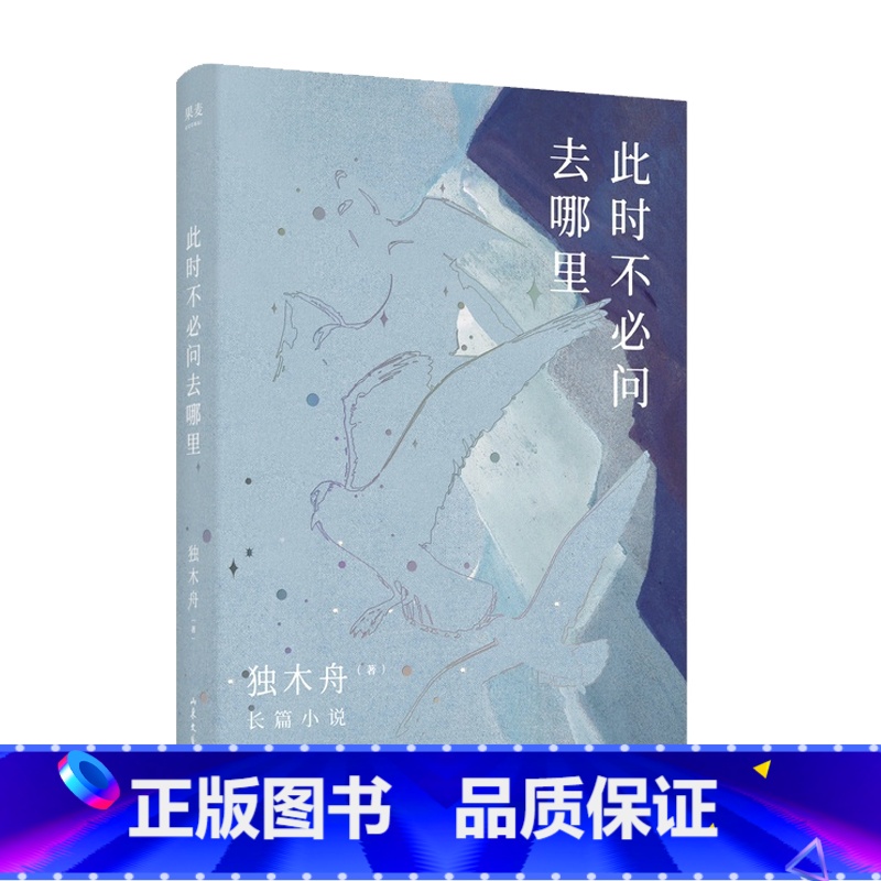 [正版]此时不必问去哪里 独木舟2020新书青春文学励志爱情当代小说