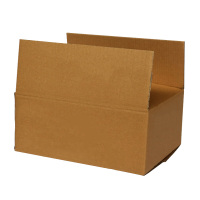 德拉奇(DELAGE) 特硬型 585*465*195mm 50个/箱 纸箱