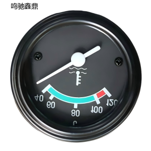 鸣驰鑫鼎 水温表 Y-60 个