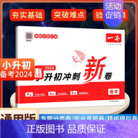 语文[2024新版 含真题] 小学升初中 [正版]2024新版小升初冲刺新卷语文数学英语人教版名校冲刺六年级毕业升学总复