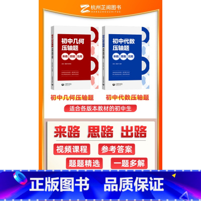 初中数学压轴题(代数+几何) 初中通用 [正版]初中代数几何压轴题来路思路出路 七八九数学同步专项训练必刷题解题技巧中考