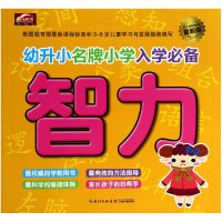 音像智力(版)/幼升小小学入学九通早教研究中心