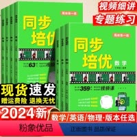 数学.人教版 九年级/初中三年级 [正版]2024版名校课堂同步培优周末练一练初中七八九年级数学英语物理上册下册专项练习