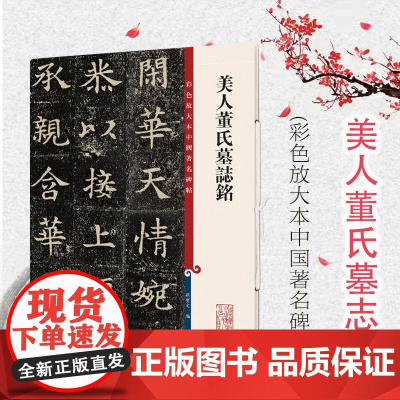 美人董氏墓志铭(彩色放大本中国著名碑帖) 原色清晰放大笔触纤毫毕现上海辞书出版社