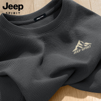 吉普JEEP SPIRIT山系重磅男士短袖夏季2025新款宽松华夫格t恤男R
