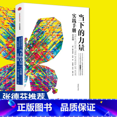 [正版]当下的力量实践手册 白金版 埃克哈特 托利 著 张德芬 活在当下 断舍离 轻松的生活 心理励志书籍