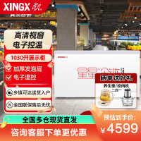 星星(XINGX)SD/SC-1030BE 976升深底岛柜商用冰柜 冷藏冷冻单温卧式展示柜 超市便利店大容量展示柜