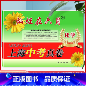 [正版]2025灿烂在六月化学 上海中考真卷2013-2024年版分类汇编合集含答案中西书局上海市各区初中初三九年级模