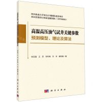 [N]高温高压油气试井关键参数预测模型理论及算法-9787030603234