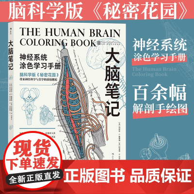 大脑笔记 神经系统涂色学习手册 重现解剖学教授经典课堂 神经系统医学脑科医学涂色练习书籍书排行榜 后浪正版