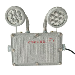 LHDQ 领航电器 LHB1113-2×1W 防爆应急灯 冷白 IP65 轻巧设计易拆装 安全耐用铝材质