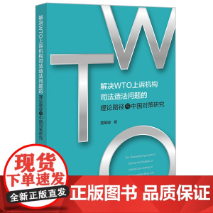 正版 解决WTO上诉机构司法造法问题的理论路径与中国对策研究 范笑迎 著 法律出版社