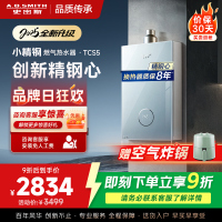AO史密斯佳尼特[小精钢TCS5]13升精钢燃气热水器 国家补贴 JSQ26-TCS5 安全守护 持久恒温大水量