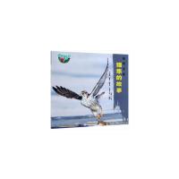 正版新书]绿野寻踪猎隼的故事/绿野寻踪Q959.79787521902600