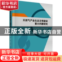 正版 天然气产业生态文明建设重大问题研究:以西南战略大气区建