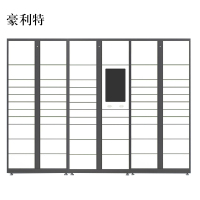 豪利特智能快递柜小区快递自提柜派件柜室外寄存柜信报箱储物柜一主两幅61格