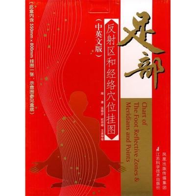 正版新书]足部反射区和经络穴位挂图蓝晓步,纪剑峰,王美琴 等著