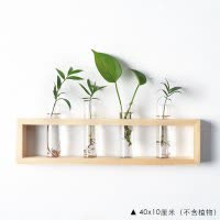 北欧创意试管花架小清新餐厅实木壁饰植物花卉墙面挂饰墙饰 三维工匠 8.试管架H(30厘米等边三角形)