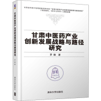音像甘肃医产业创新发展战略与路径研究罗臻