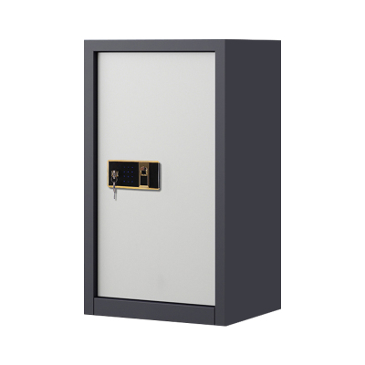 阿拉贡指纹电子保密柜钢制密码文件柜档案柜办公柜矮柜保密资料柜 单门灰白钥匙指纹