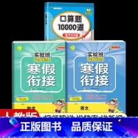 [一年级人教版3本]语文+数学寒假衔接+口算题10000道 小学通用 [正版]2024新实验班寒假衔接一年级二年级四五六