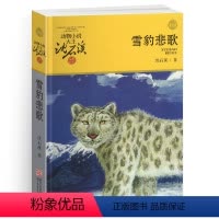 [正版]完整版雪豹悲歌全本沈石溪的图书籍动物小说大王品藏系列小学生四五六年级儿童文学作品珍藏大全全集1全套单本一新