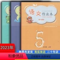 三本套装[语文数学英语人教版]转学/学校发放作业本 六年级上 [正版]新2023年9月秋芝麻开花课堂作业本五年级上册语文