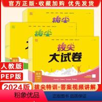 语数英[人教版] 三年级下 [正版]2024版通成学典拔尖特训大试卷语文数学英语一二三四五六年级上下册人教版北师版PEP