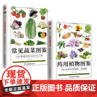 药用植物图鉴+常见蔬菜图鉴(全2册)