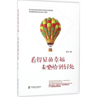 音像看得见的幸福,未必恰到好处安子 著