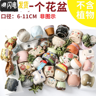 三维工匠多肉花盆陶瓷透气大口径家用创意粗陶肉肉植物小盆器 口径6-11CM随机(10个) 小花盆容器