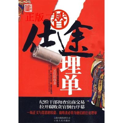 正版新书]替仕途埋单(每个人都要为他的所作所为付出代价)吴俣