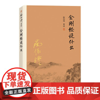 金刚经说什么 南怀瑾著述 大陆完备经典的南师作品集 中国哲学经论三大道中庸论语佛学 复旦大学出版社正版书籍 复旦大学出版