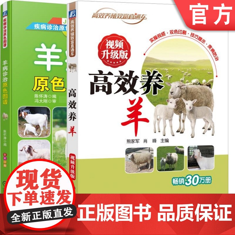正版套装 高效养羊 视频升级版+羊病诊治原色图谱 熊家军 肖峰 陈怀涛 饲养 管理 羊病 诊治 疾病防治