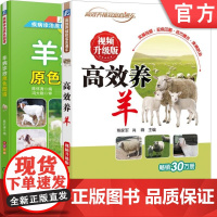 正版套装 高效养羊 视频升级版+羊病诊治原色图谱 熊家军 肖峰 陈怀涛 饲养 管理 羊病 诊治 疾病防治