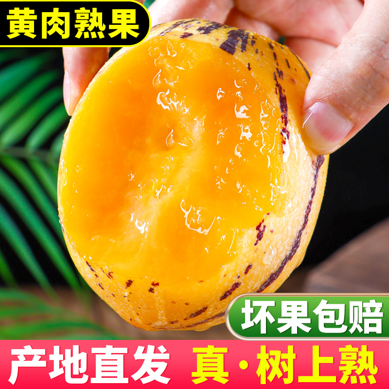 [熊猫鸟]甘肃民勤沙漠人参果 净重3斤 特大果 新鲜水果整箱一级人生果