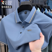 啄木鸟桑蚕丝男士短袖T恤夏季薄款休闲宽松polo衫爸爸装大尺码上衣C