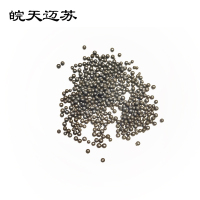 皖天迈苏铸钢丸2.5mm1吨