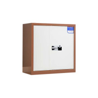 湘渭保密柜财务档案柜文件柜办公室资料储物柜保险柜矮柜咖白-国保指纹锁