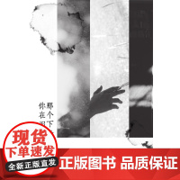 那个下午你在旧居烧信 李佩珊 上海三联书店 正版书籍