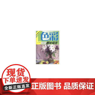 色彩静物照片写生---(美术技法名师指导实战系列)