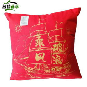 名佳荟萃 抱枕靠垫 40*40cm 个