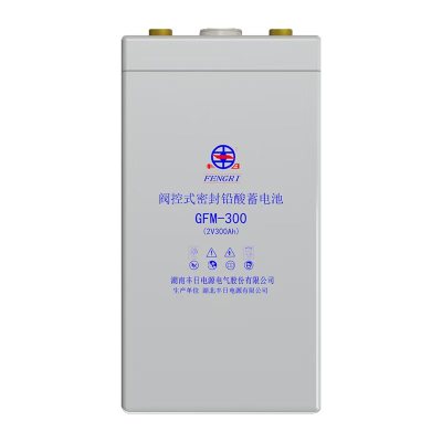 丰日 阀控式密封铅酸蓄电池 GFM-300(2V300Ah) 只