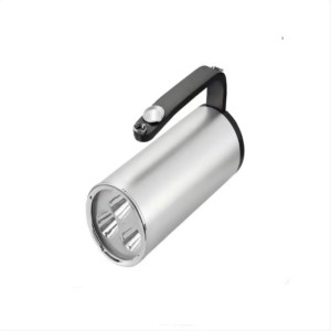 鼎鑫实业DXSY-065 LED手持工作灯 (计价单位:盏) 银色