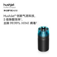 戴森DYSON空气净化器HJ10黑色-293036-01