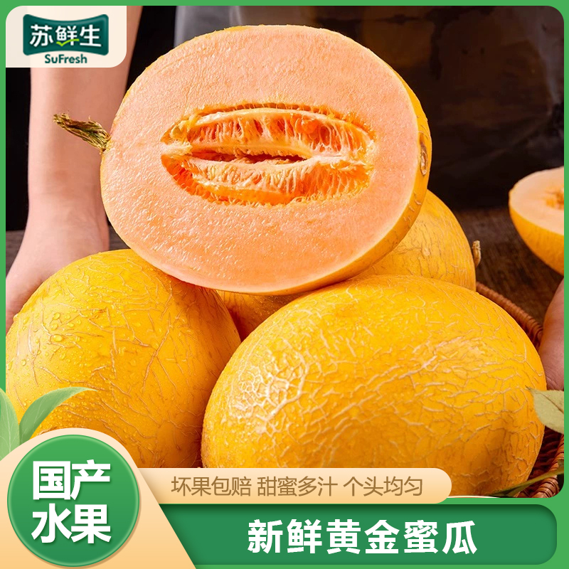 [苏鲜生]黄金蜜瓜 净重2.5斤 1-2个 冰淇淋新鲜水果当季哈蜜瓜