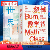 [正版]全2册烧掉数学书+离散的世界 那些年我们谈论的离散数学 给所有恨数学的人的一封致歉信 收获从学渣到学霸的逆袭快