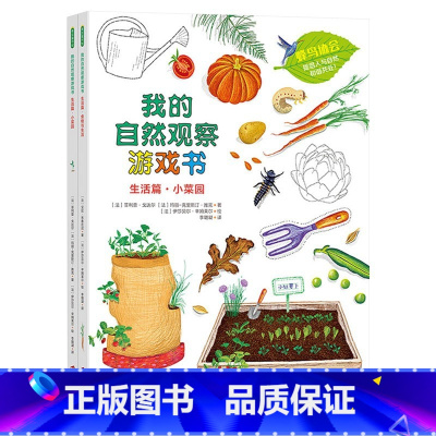 《我的自然观察游戏书生活篇》2册精装 让孩子热爱生活 [正版]小种子硬壳精装绘本信谊图画书艾瑞卡尔适合3岁以上亲子幼儿