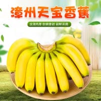 [西沛生鲜]福建天宝香蕉 净重3斤 箱装 新鲜当季水果 香甜软糯 孕妇宝宝辅食
